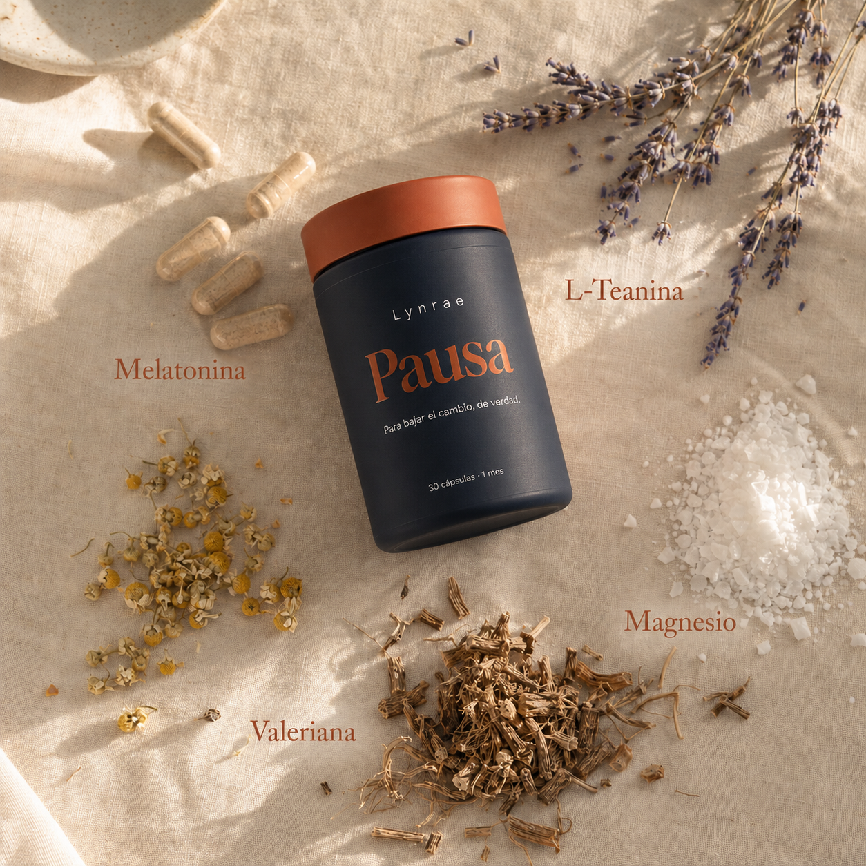 Lynrae Pausa — Ritual Nocturno para Dormir Mejor